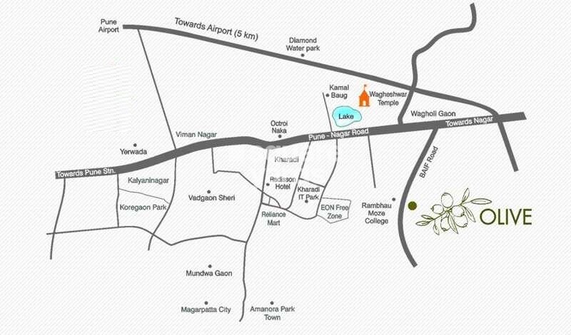 Blue Skky Olive Location Image