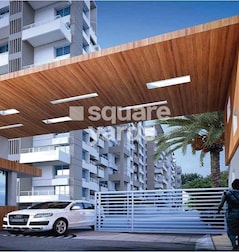 Bright Aristo Bright Aristo