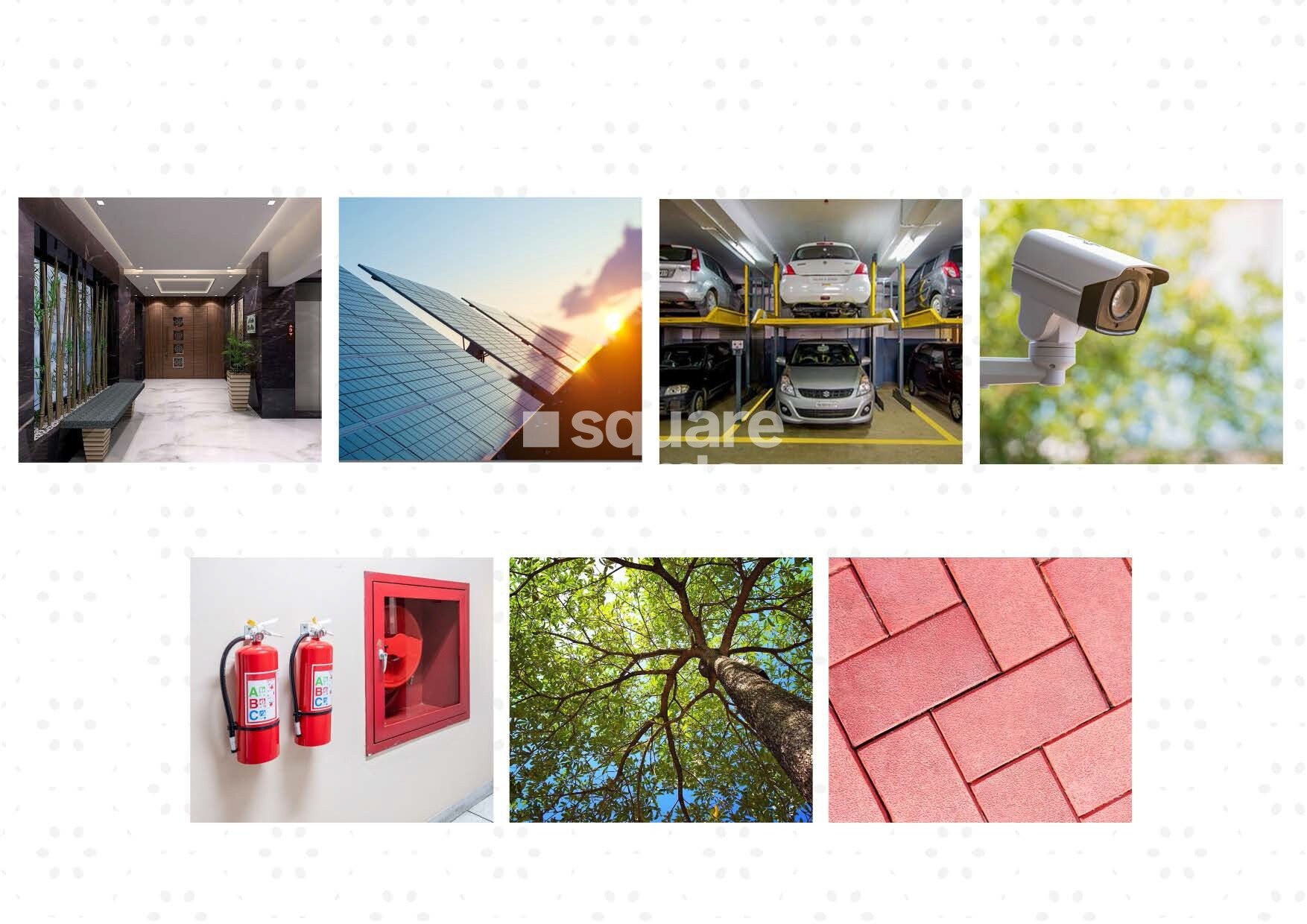 Buttepatil Gulab Srushti