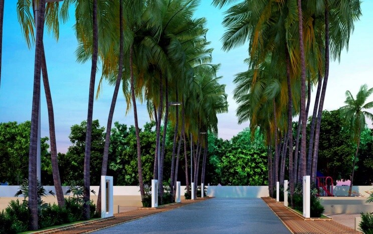 Canvas Coconut County