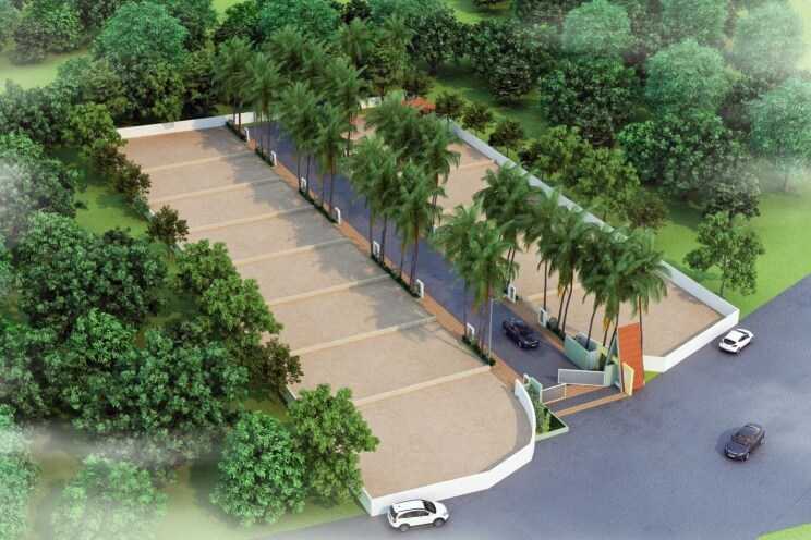 Canvas Coconut County