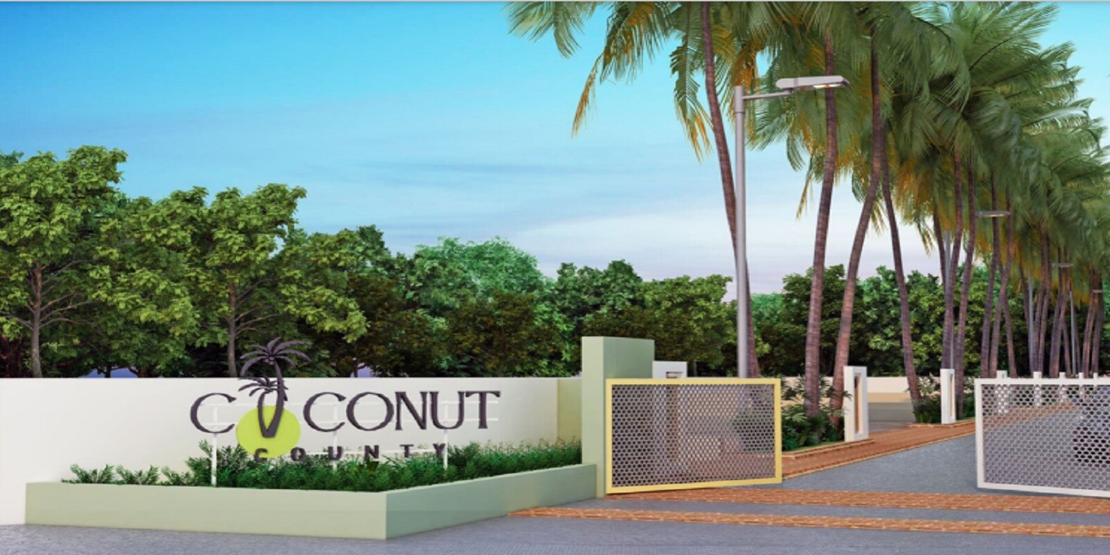 Canvas Coconut County