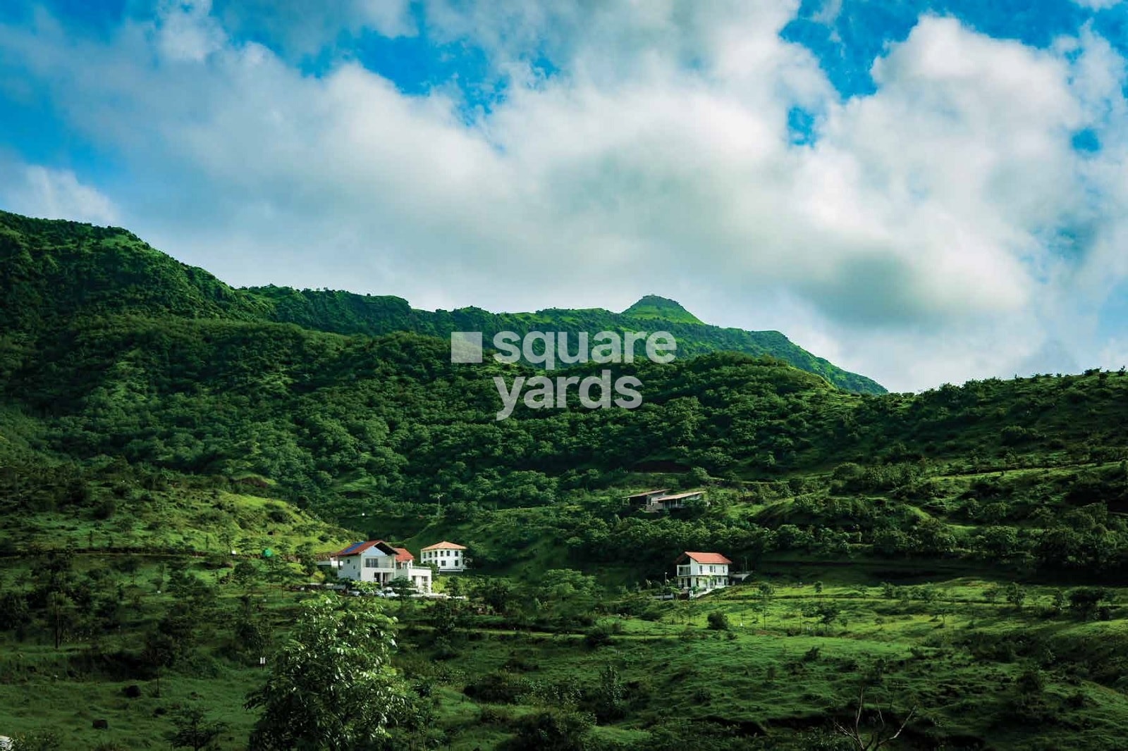 Carcanet Royal Purandar