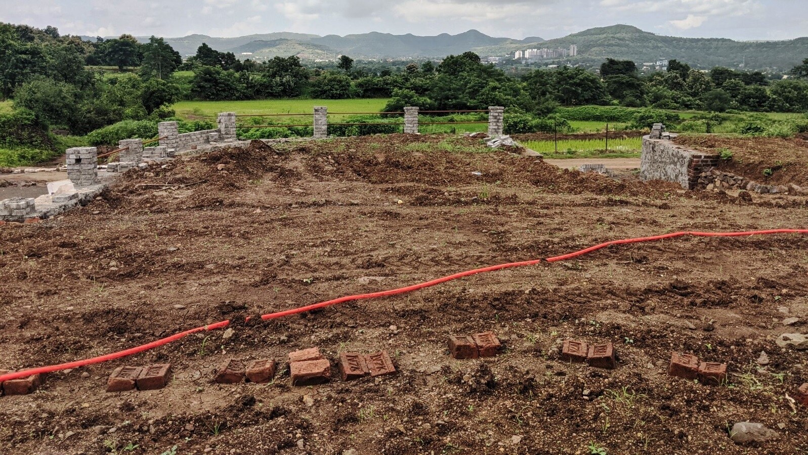 Castle Marigolds Valley