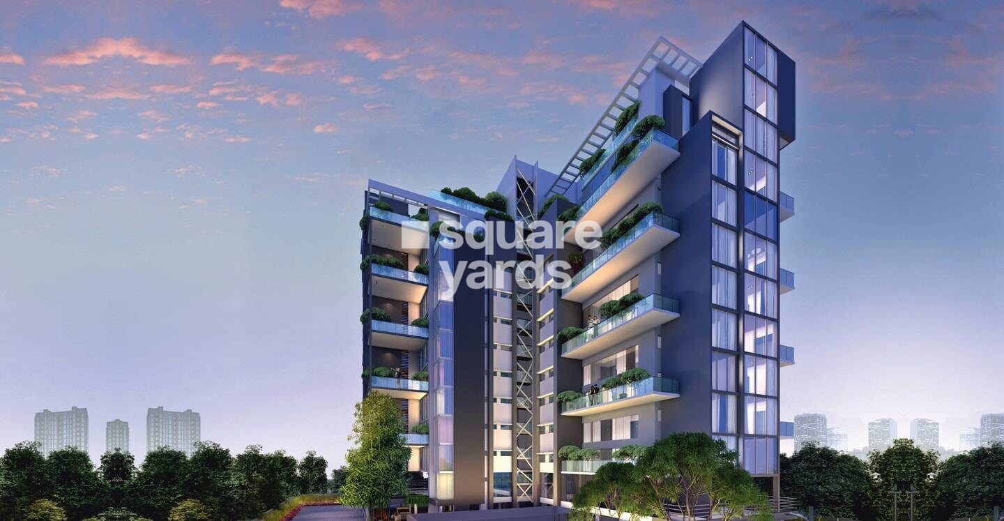 Cedrus Panache Tower View 1