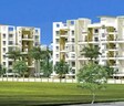 Dharti Green