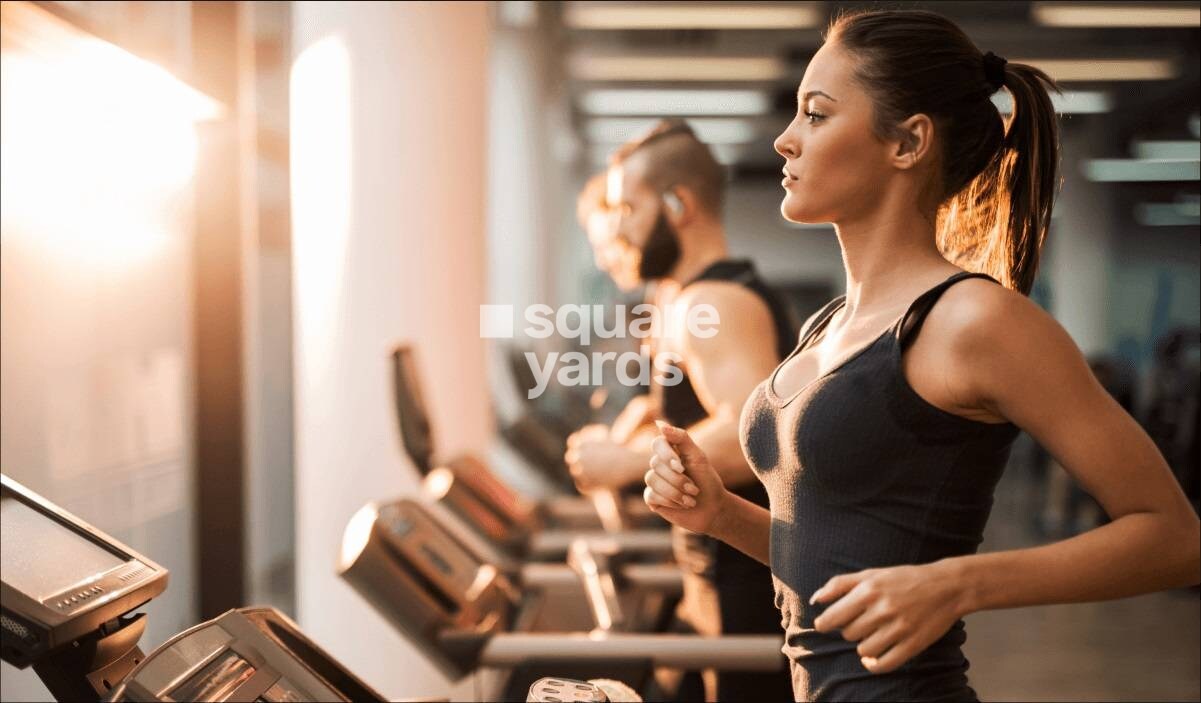 Diamond Nexus Nirvana Beyond