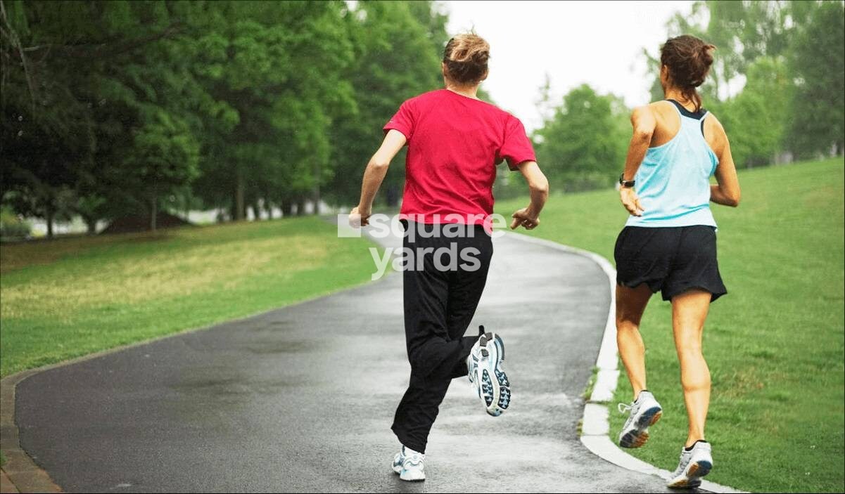 Diamond Nexus Nirvana Beyond