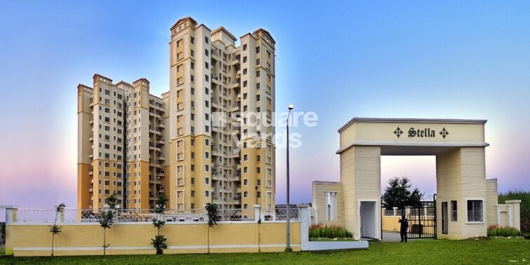 DMK Stella Cover Image