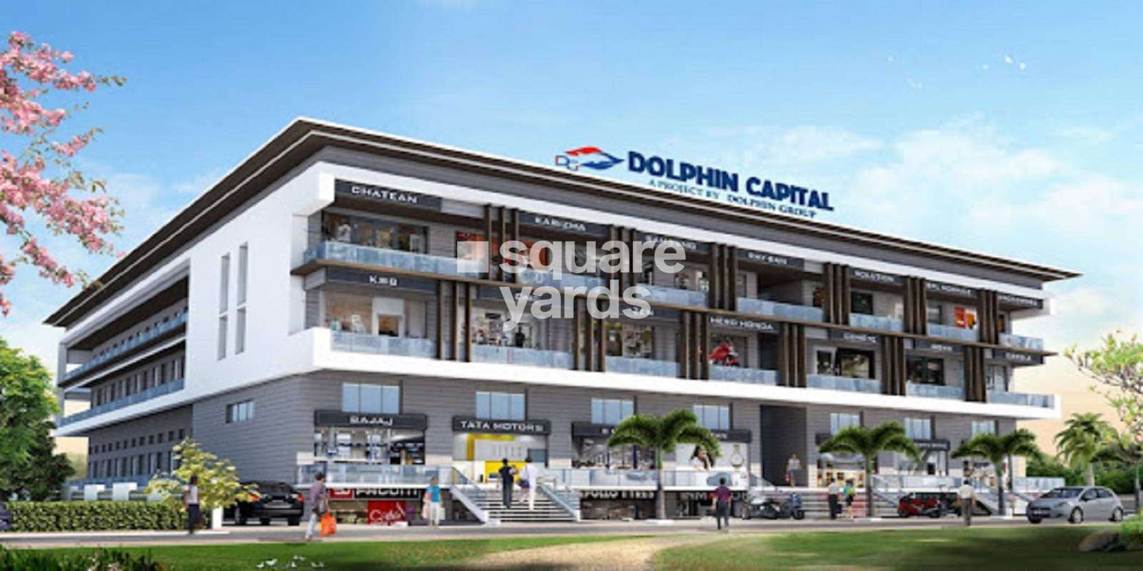 Dolphin Capital Cover Image
