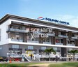 Dolphin Capital