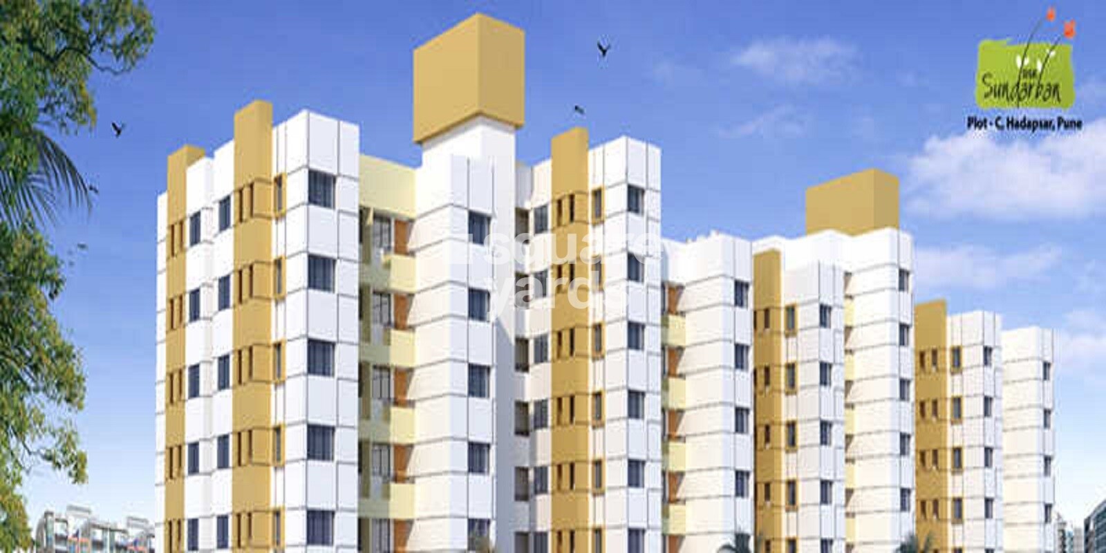 dsk-sundarban