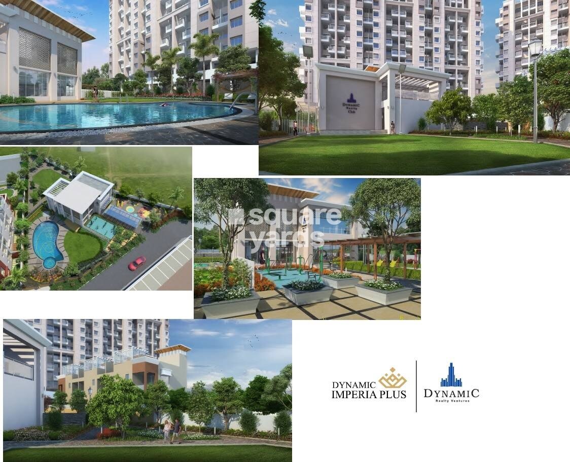 Dynamic Imperia Plus