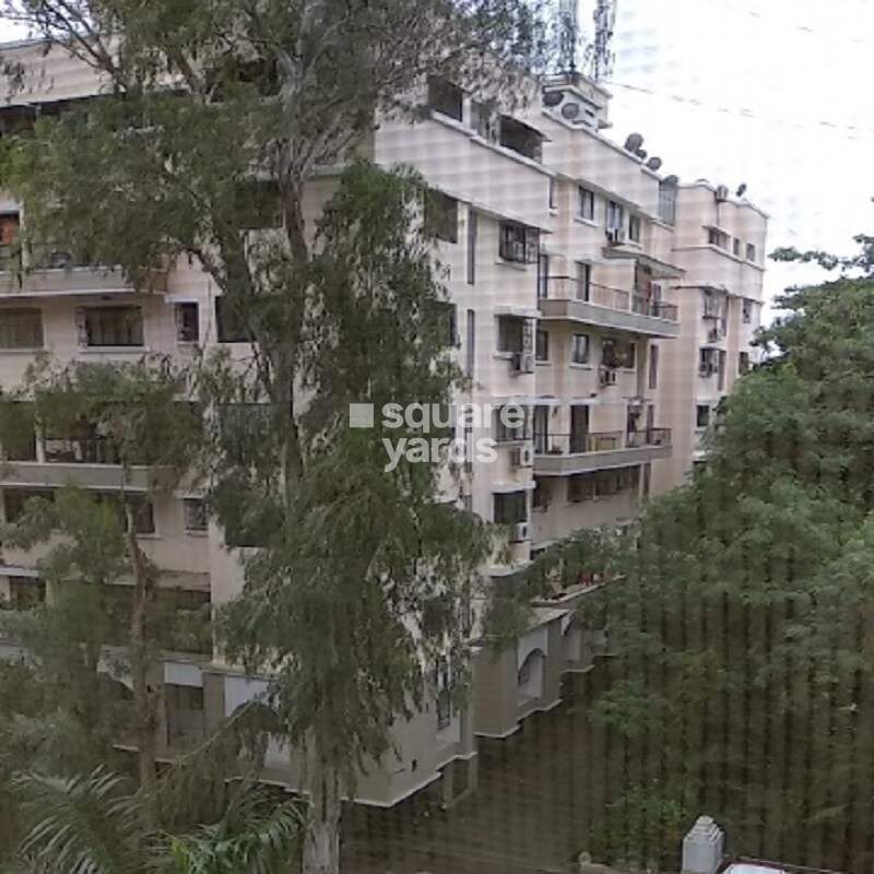 Eden Park Tower View 2