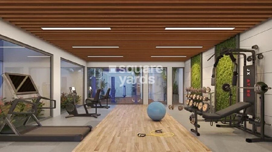 Eka Elitas Gymnasium Image