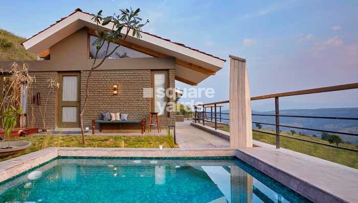 Enerrgia Skyi Wild Woods