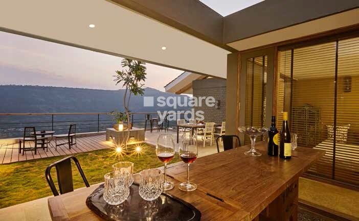 Enerrgia Skyi Wild Woods