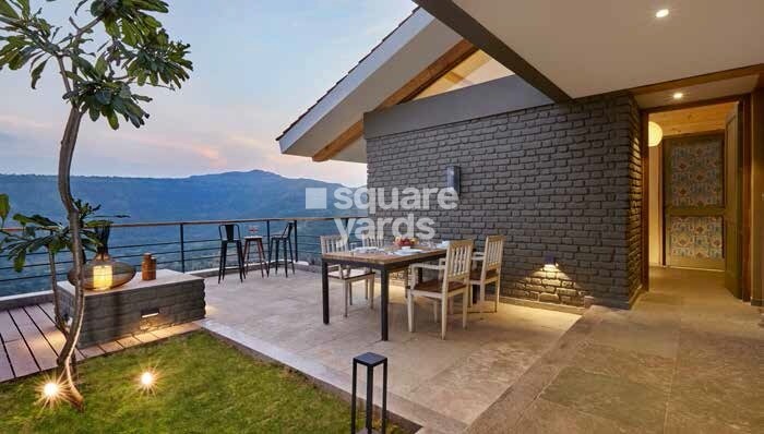 Enerrgia Skyi Wild Woods