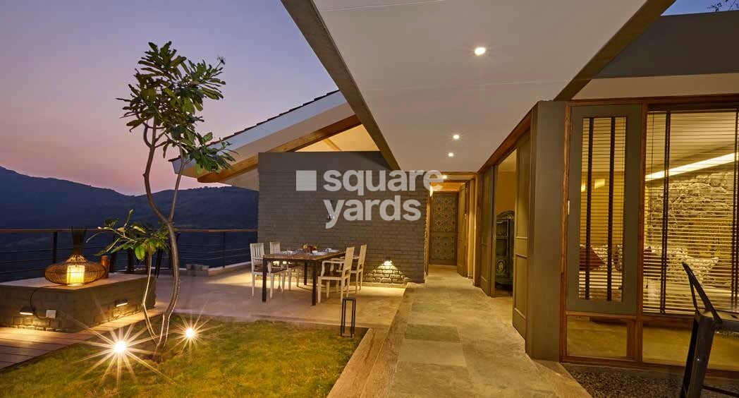 Enerrgia Skyi Wild Woods