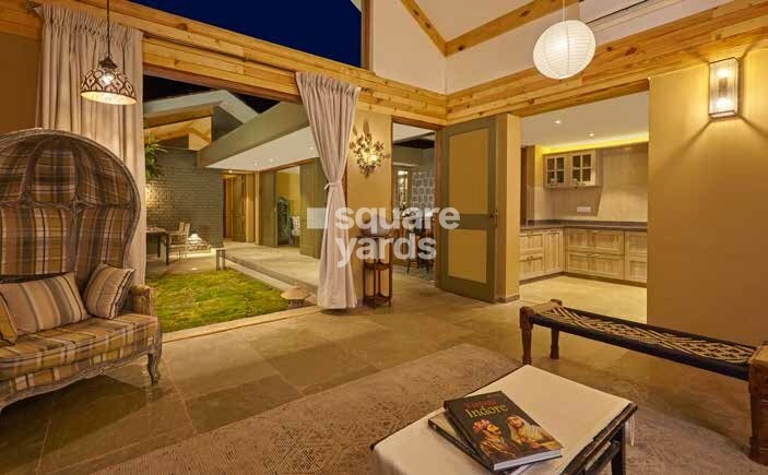 Enerrgia Skyi Wild Woods