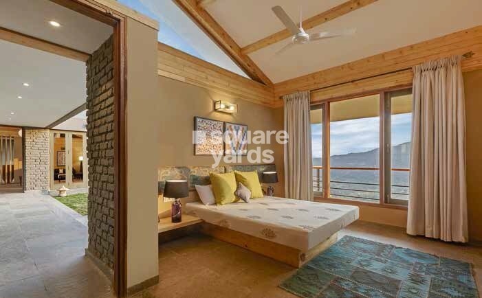 Enerrgia Skyi Wild Woods