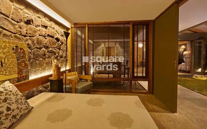 Enerrgia Skyi Wild Woods