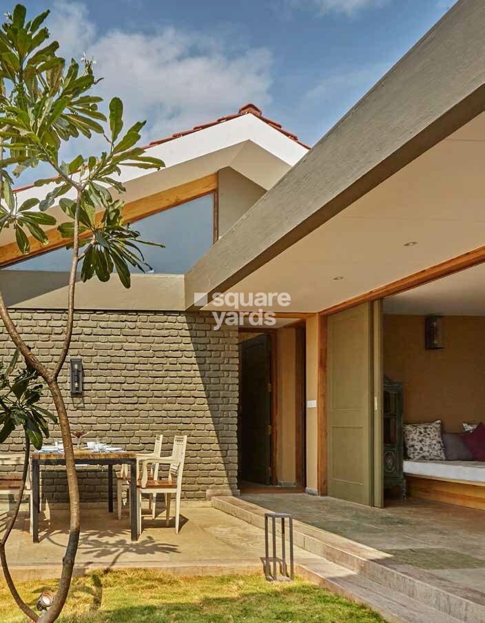 Enerrgia Skyi Wild Woods