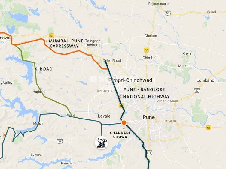 Enerrgia Skyi Wild Woods