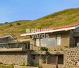 Enerrgia Skyi Wild Woods