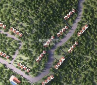 Enerrgia Skyi Wild Woods Tower View