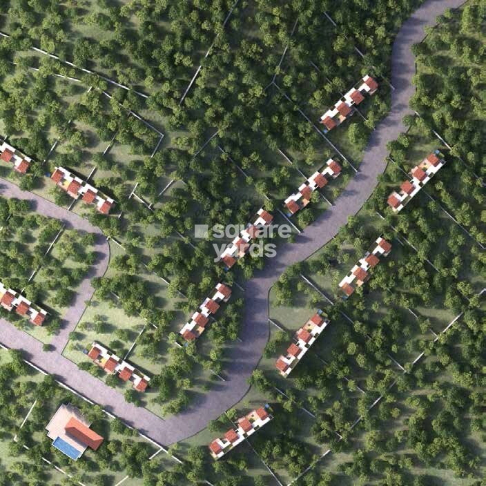 Enerrgia Skyi Wild Woods