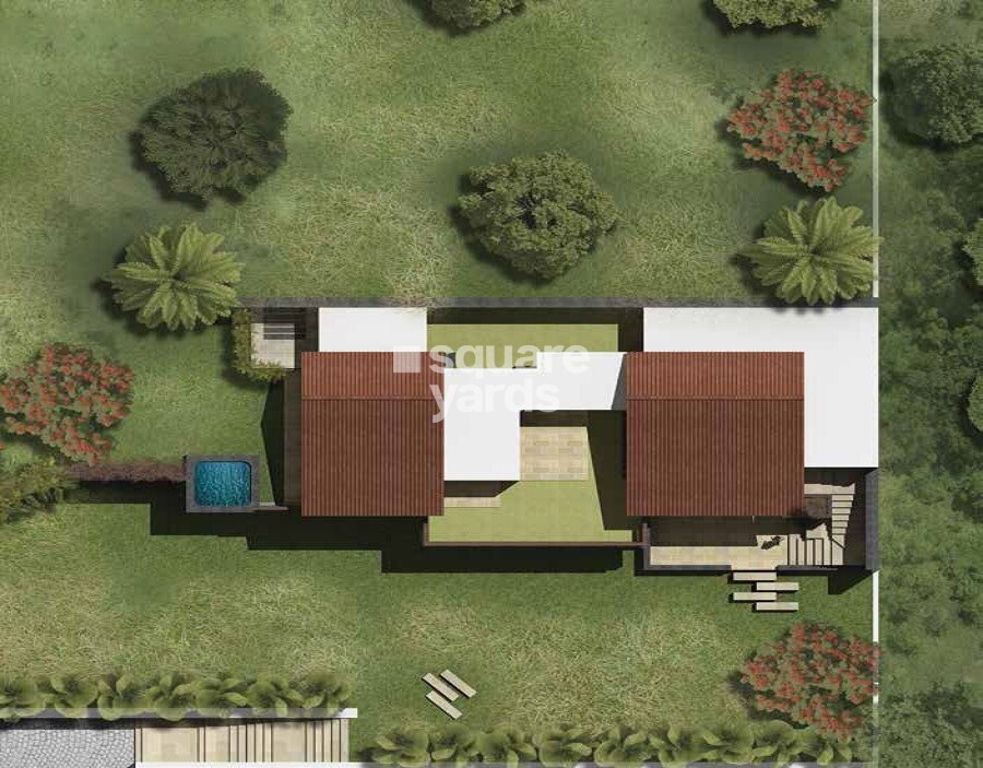 Enerrgia Skyi Wild Woods