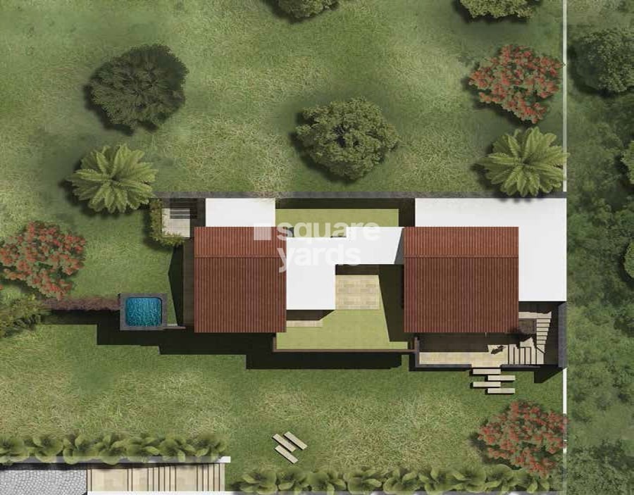 Enerrgia Skyi Wild Woods