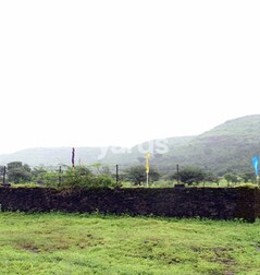 FDCC Angellia FDCC Angellia