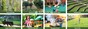 forest edge phase 2 amenities features8