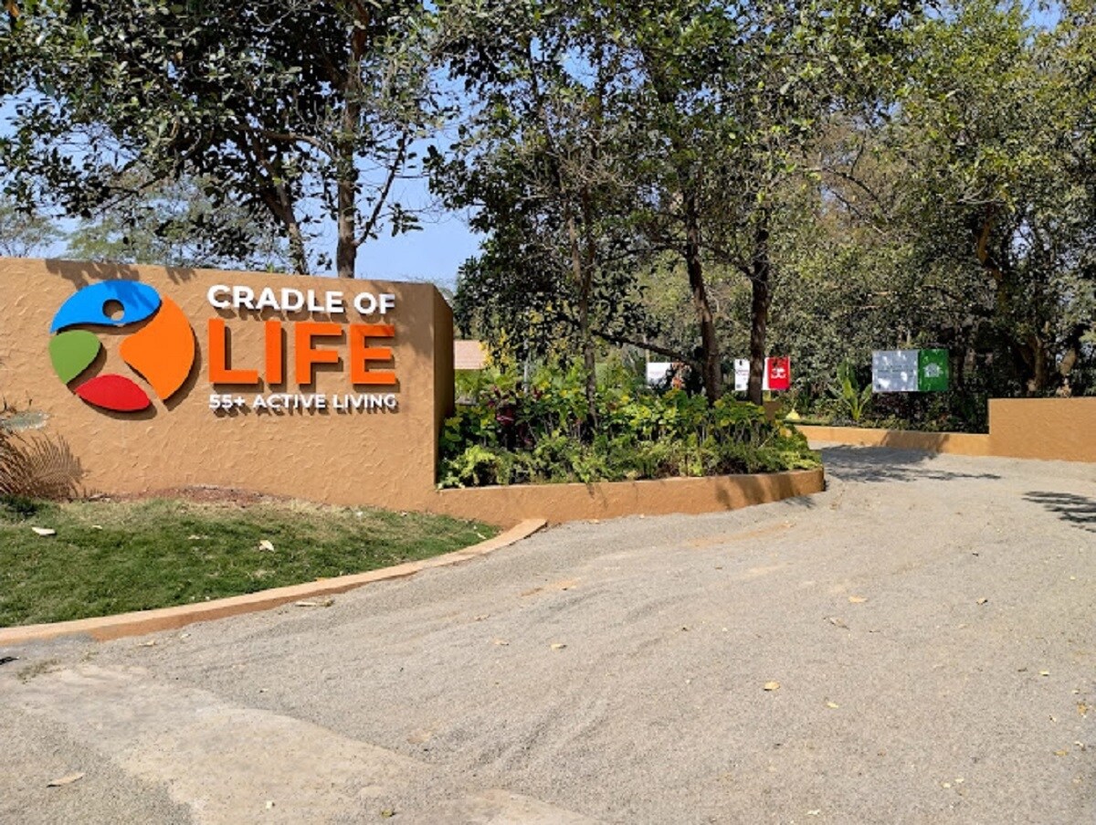 Gadsing Cradle Of Life