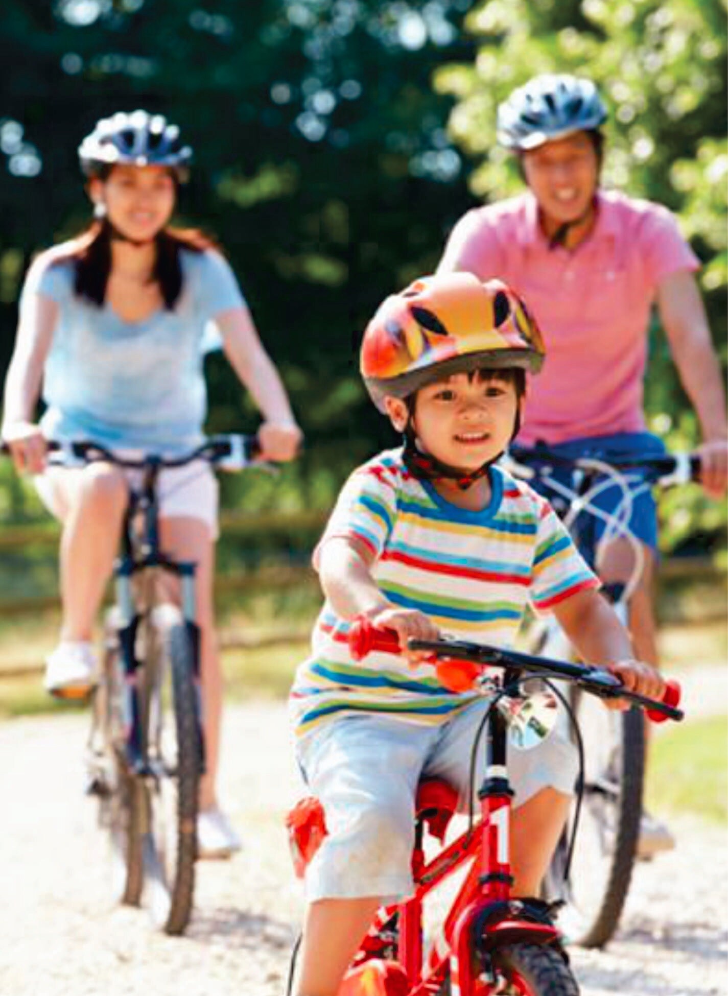 Gaikwad Royal Park Amenities-Features