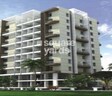 Geeta Gold Fusion