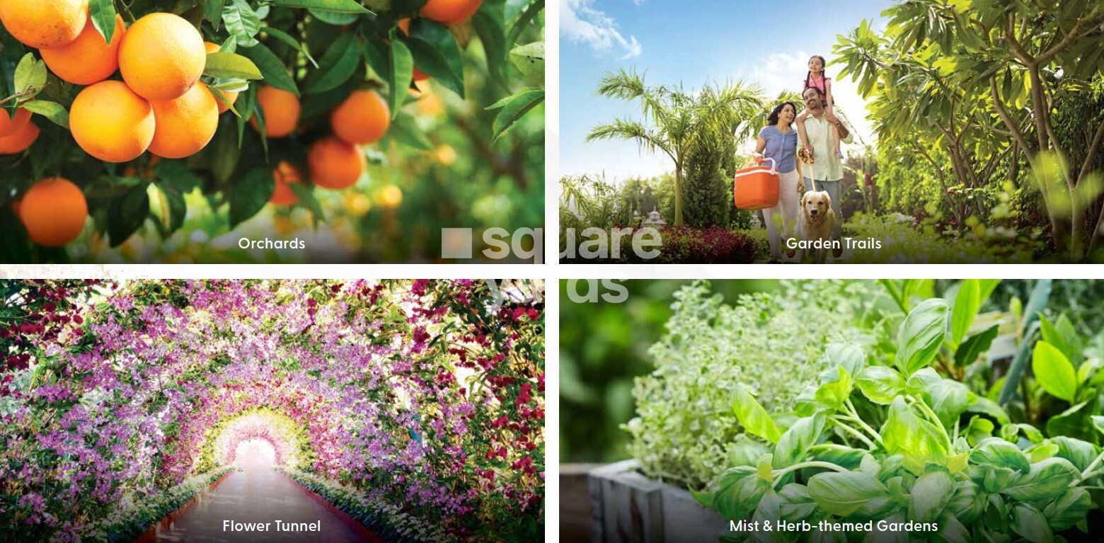 Godrej Emerald Waters Amenities-Features 4