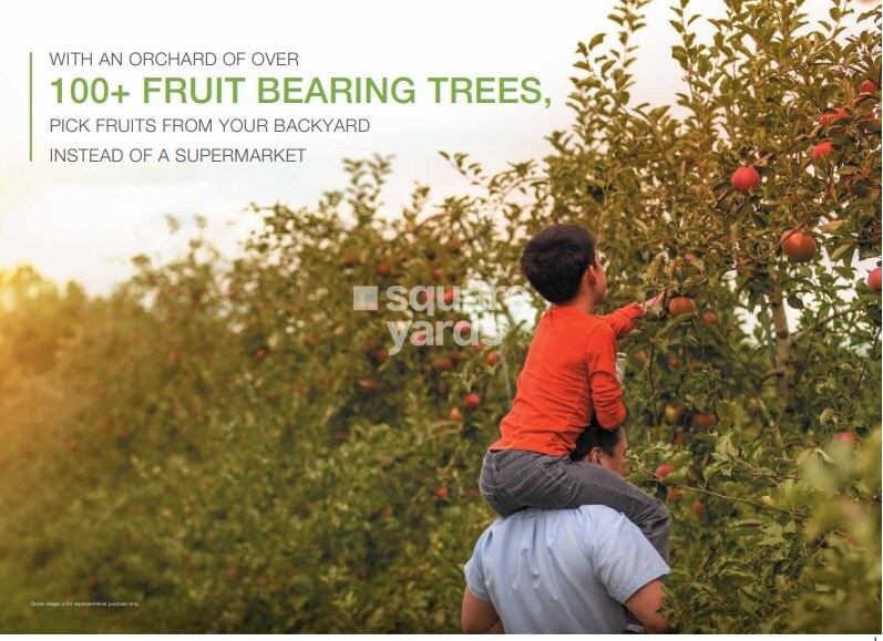 Godrej Forest Grove Greens Image 2