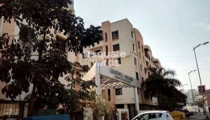 Goodwill Orchids Tower View