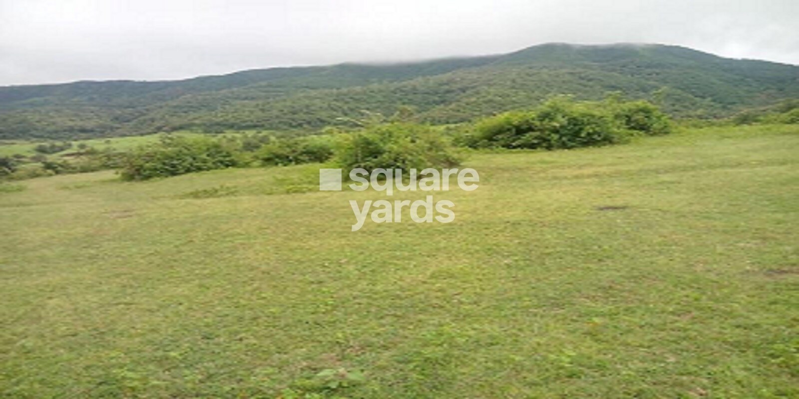 Green Valley(Mohari) Featured Image