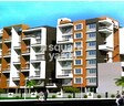Growmore Paraiso