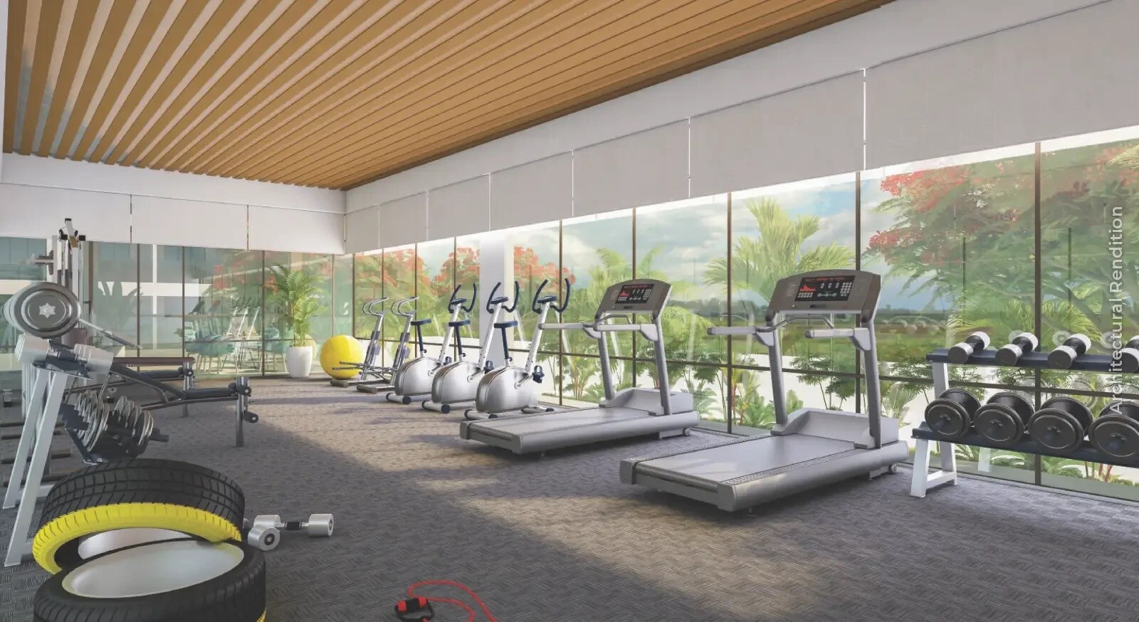 Gulmohar Esteban Gymnasium Image