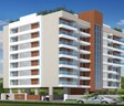 Infinia Spring Hills