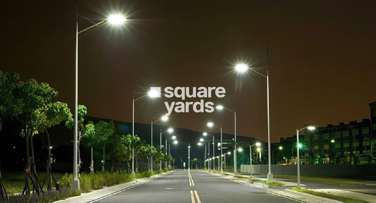 Kale Sparkle Residence