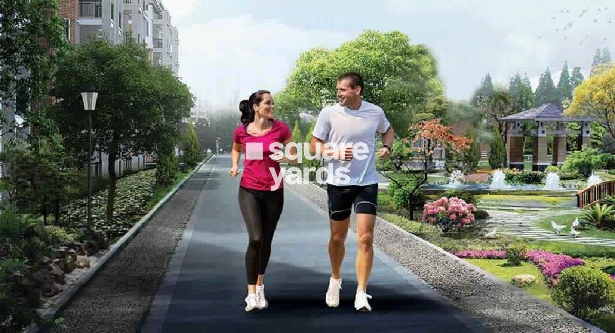 Kale Sparkle Residence