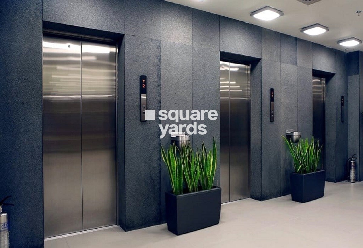 Kale Sparkle Residence