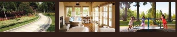 Kalpataru Harmony Pune Amenities-Features 1