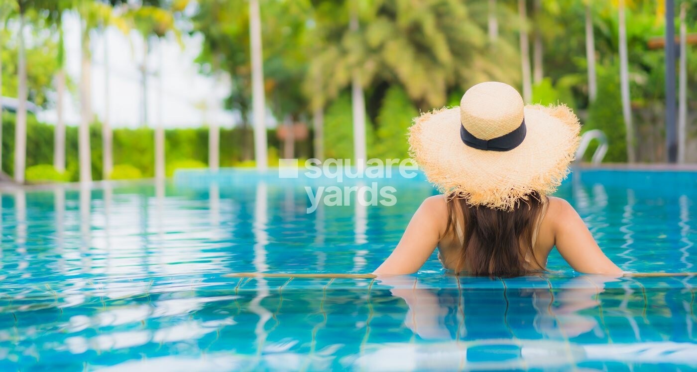 Kanifnath Royal KP Stellar